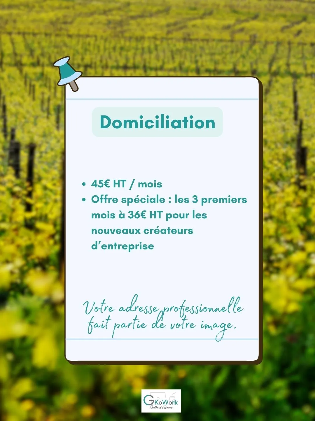 domiciliation dijon sud marsannay terroi vin vigne