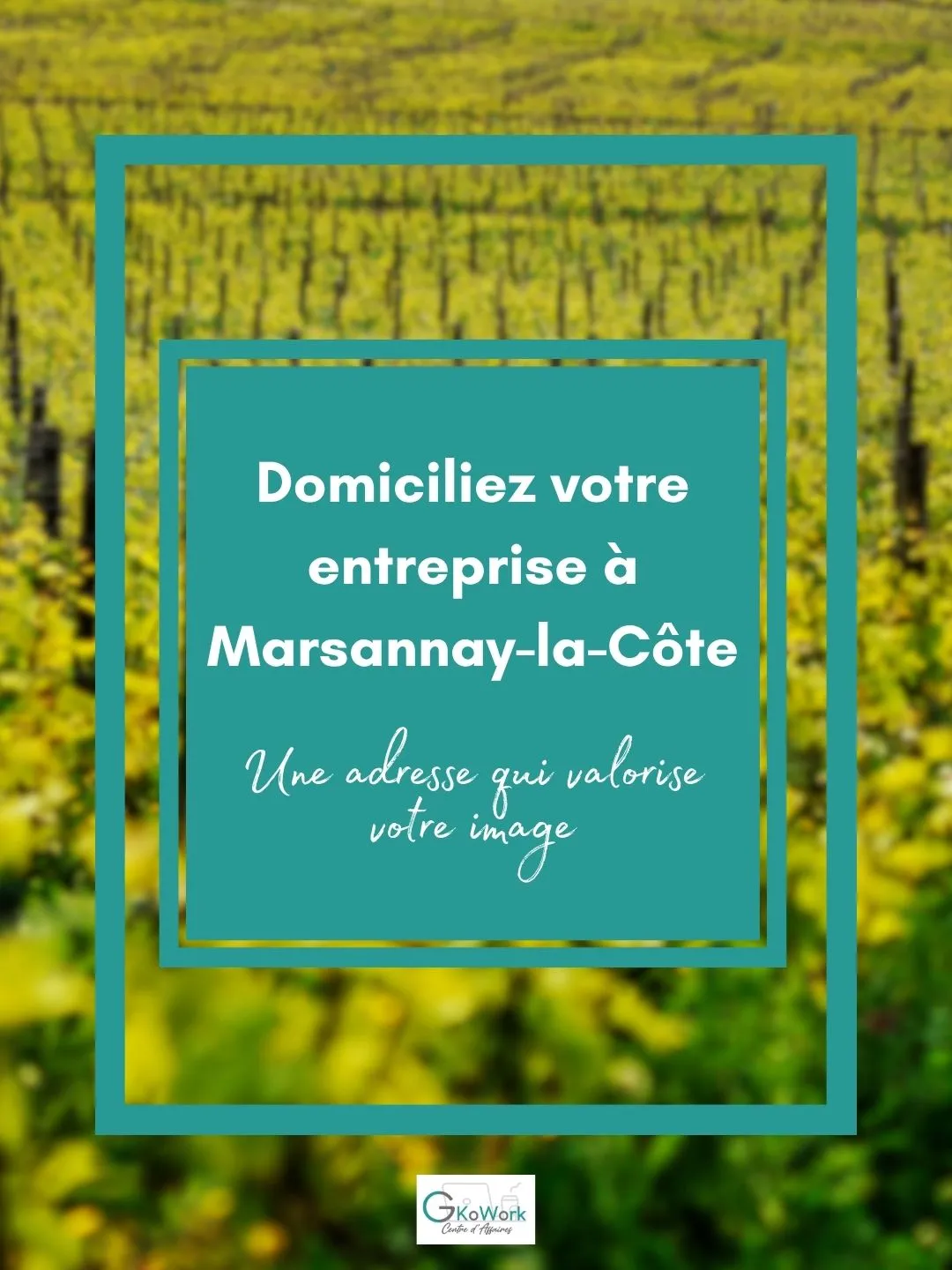 domiciliation dijon sud Marsannay vigne vin terroir